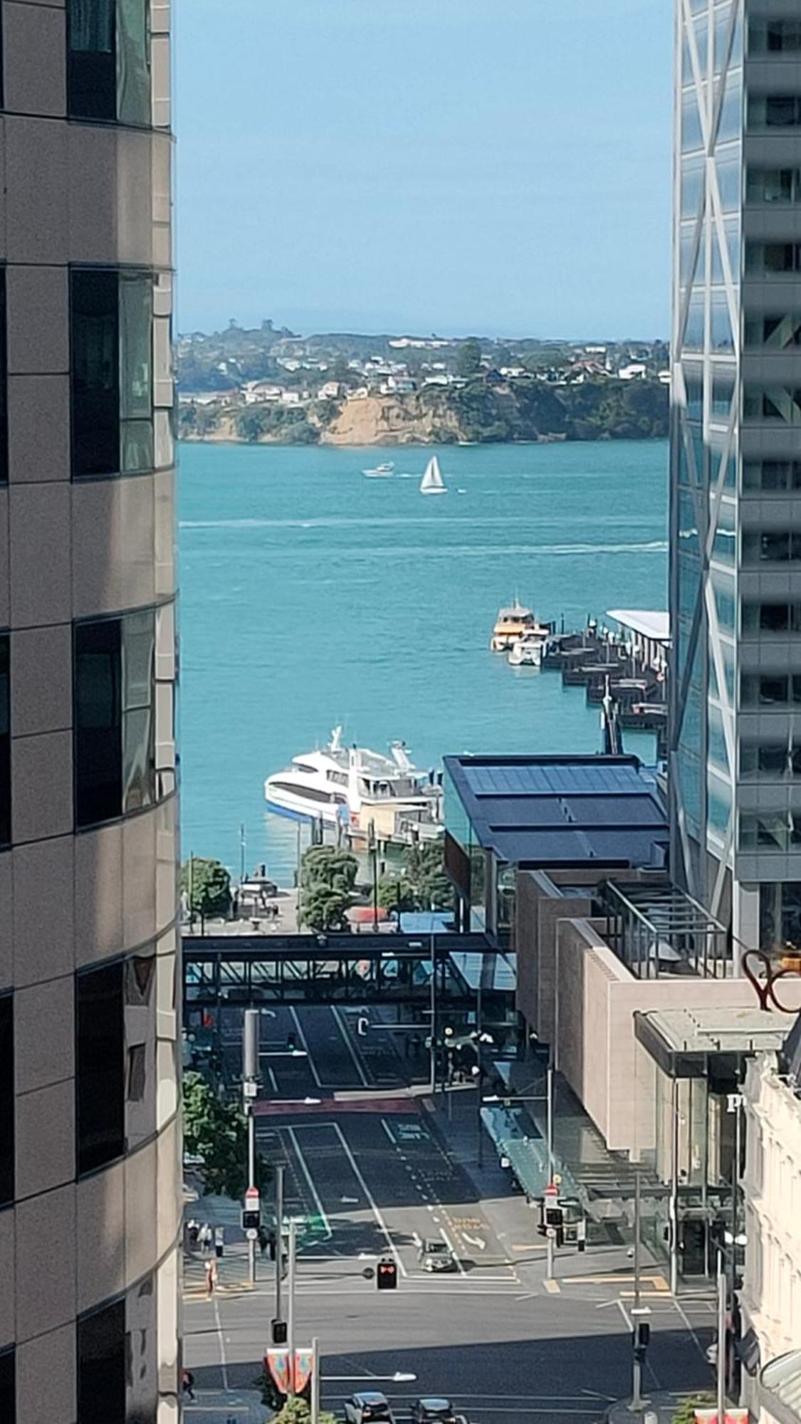 20 Pct Off Sky Stars Park Apartment Auckland Værelse billede